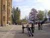 Hohenzollern Castle Courtyard