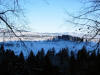 View from Hohenschwangau 