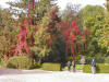 Memorial Behind Crematorium