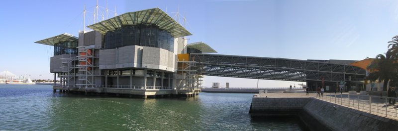 Lisbon Oceanarium