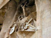 Statue of Christ on the Passion Facade