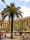 Placa Reial in the Cuitat Vella